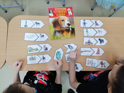 Дидактическая игра "Найди хозяина"