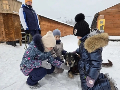 Дети гладят собаку