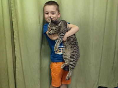 Любимый котик